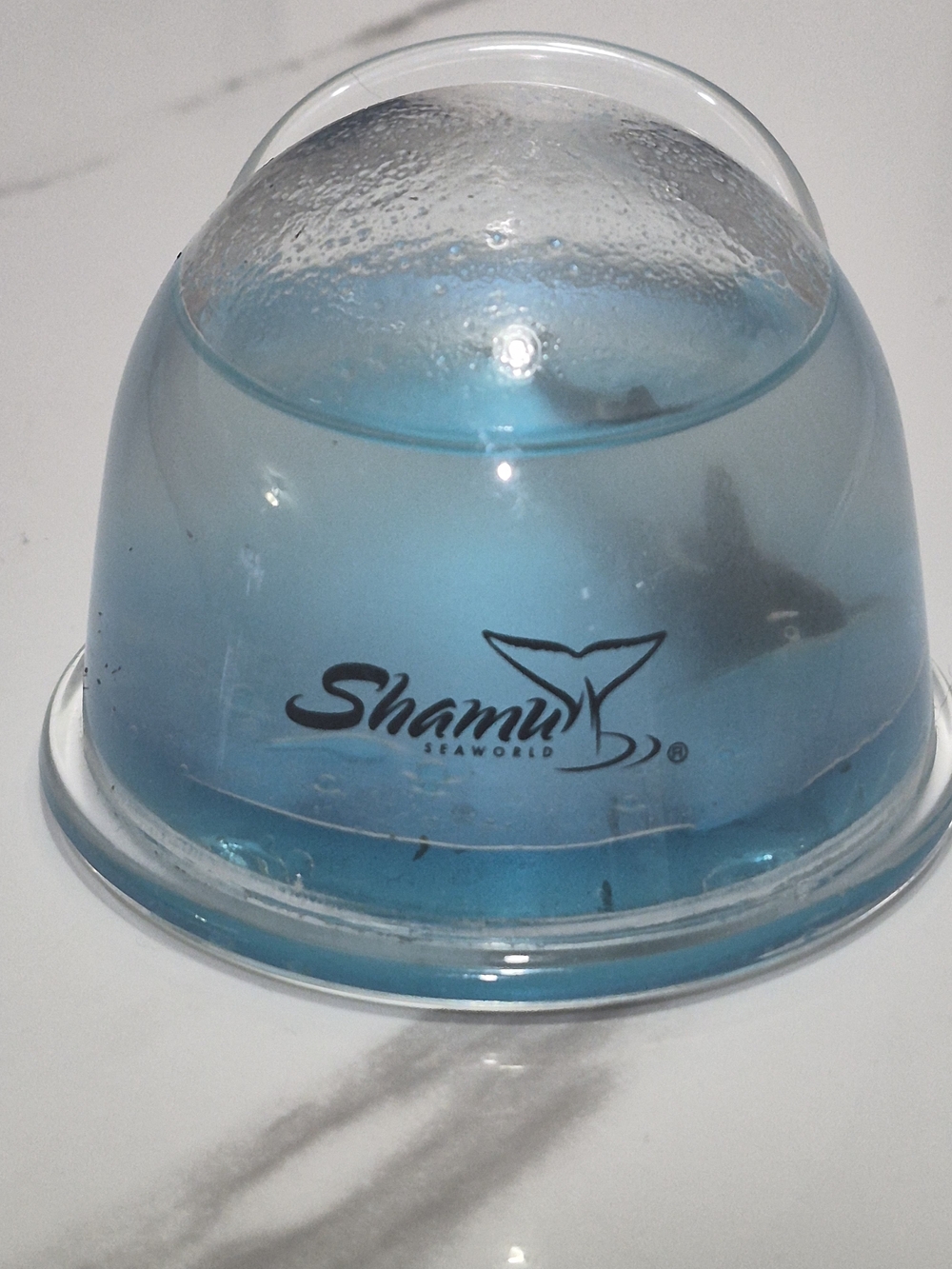 Vintage SeaWorld Shamu Liquid Dome Paperweight Snow Globe 80s 90s Souv